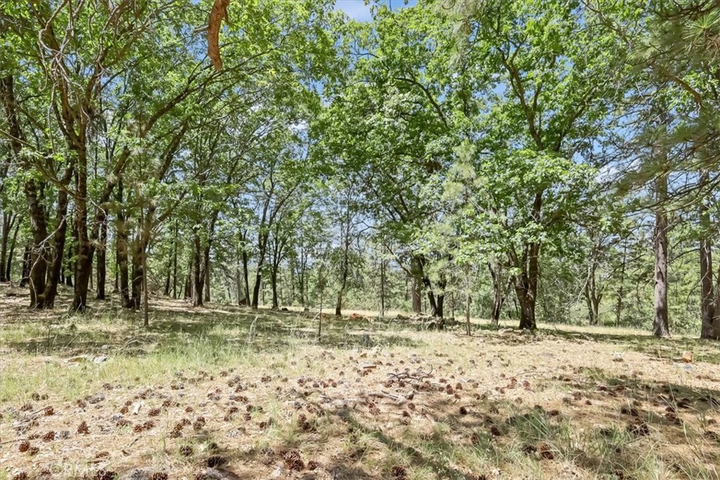 14818 Willow Glen Road Property Photo 61