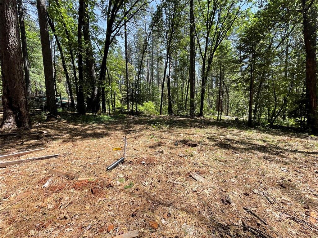 55 Buckeye Drive Property Photo 1