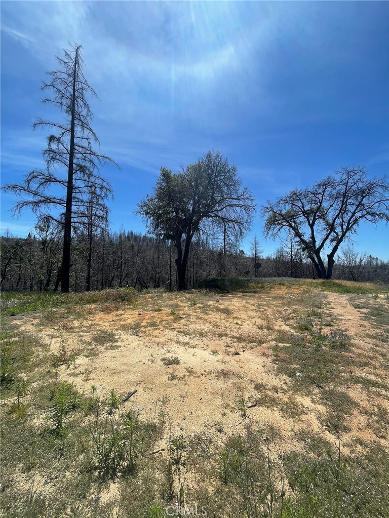 180 Mirage Lake Road Property Photo 3