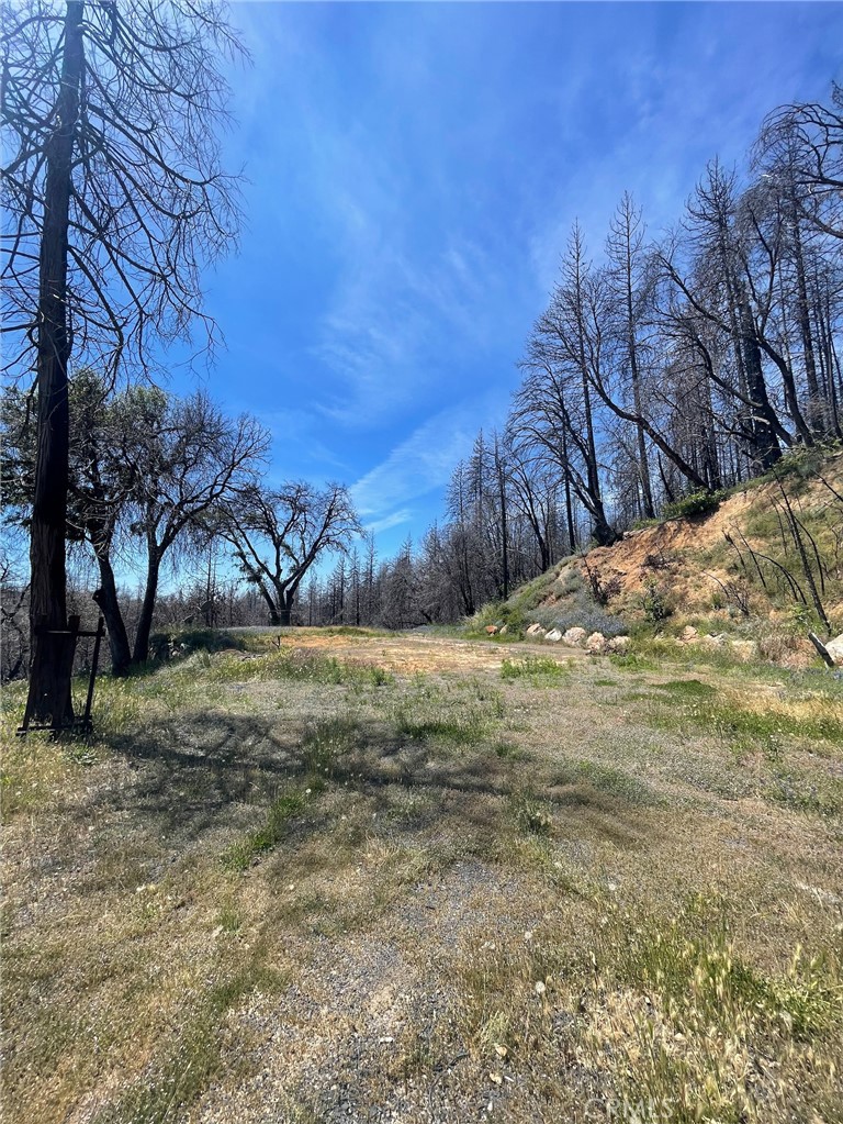 180 Mirage Lake Road Property Photo 4