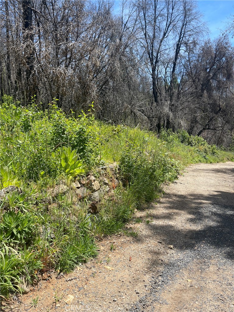 180 Mirage Lake Road Property Photo 8