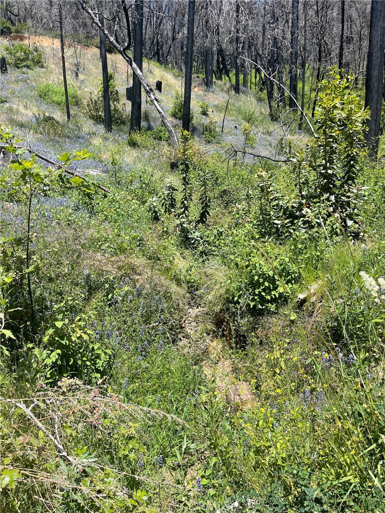 180 Mirage Lake Road Property Photo 10