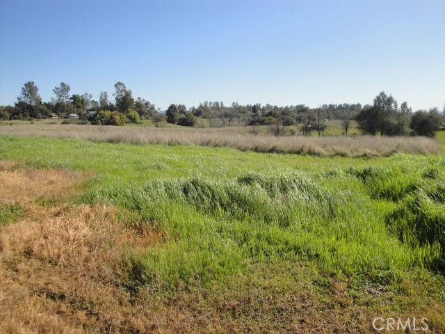129 Misty View Way Property Photo 4