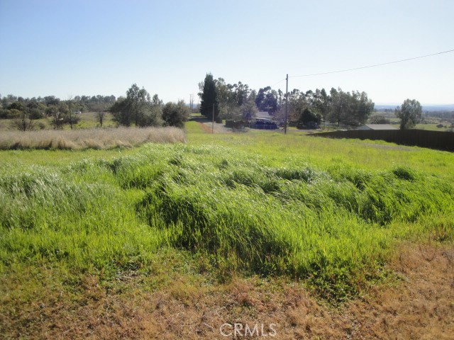 129 Misty View Way Property Photo 5