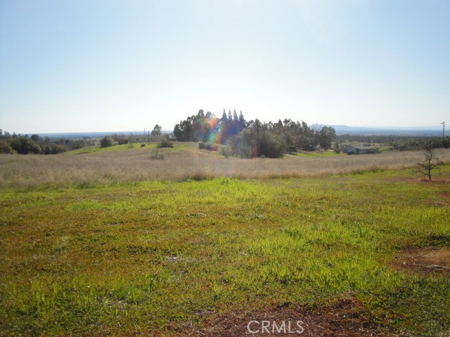 129 Misty View Way Property Photo 8