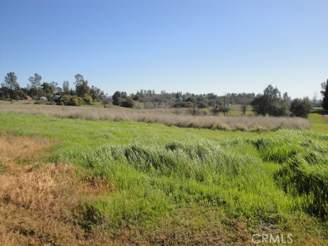 129 Misty View Way Property Photo 10
