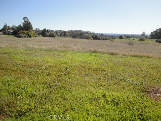 129 Misty View Way Property Photo 13