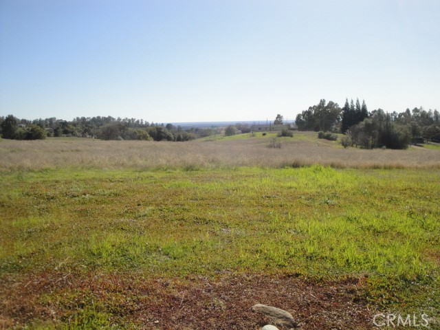 129 Misty View Way Property Photo 14