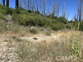 0 Oak Drive Property Photo 3