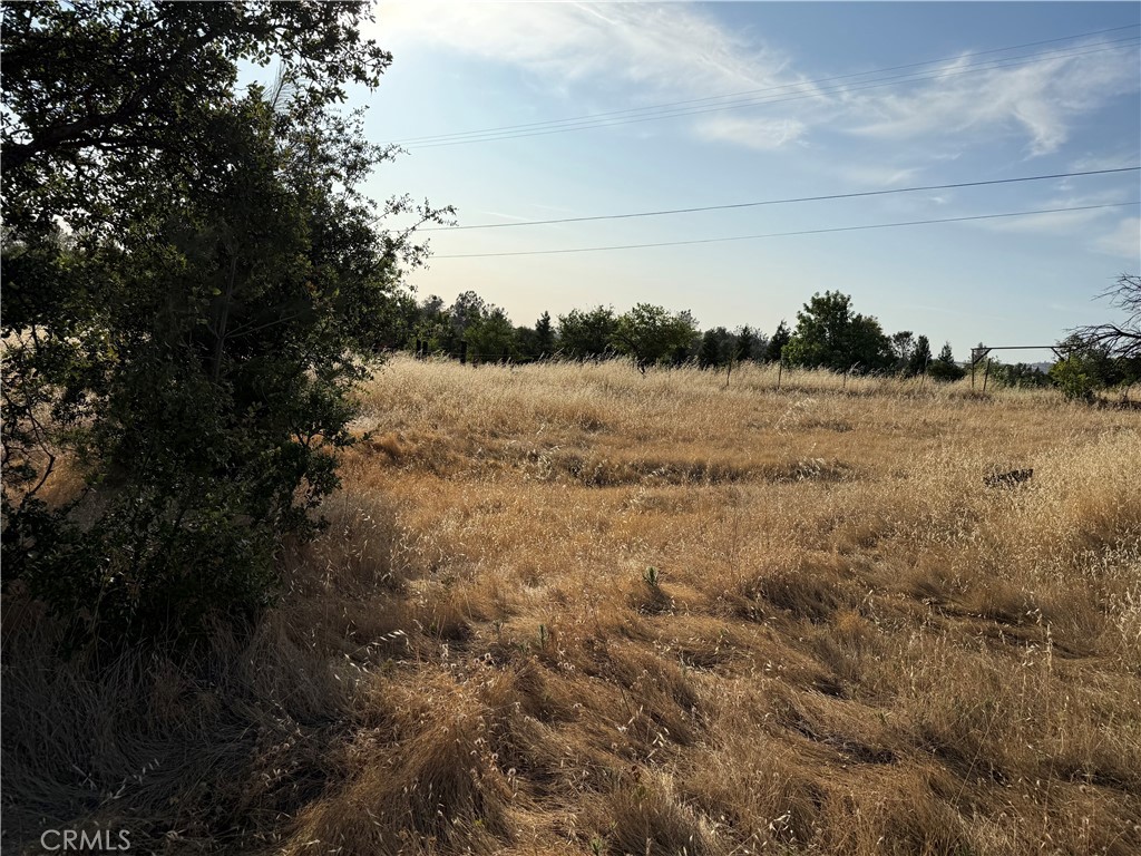 0 Skyline Boulevard Property Photo 2