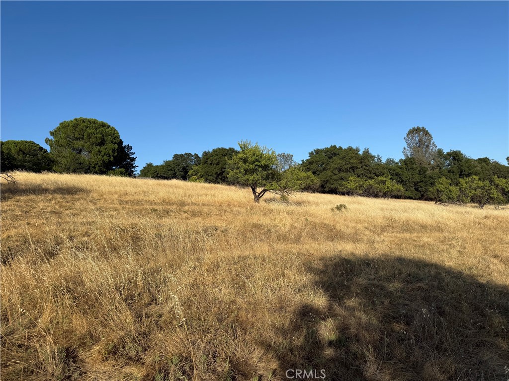 0 Skyline Boulevard Property Photo 3