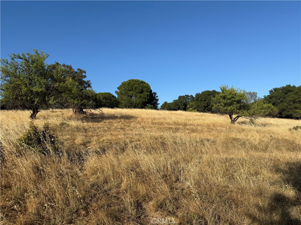 0 Skyline Boulevard Property Photo 4