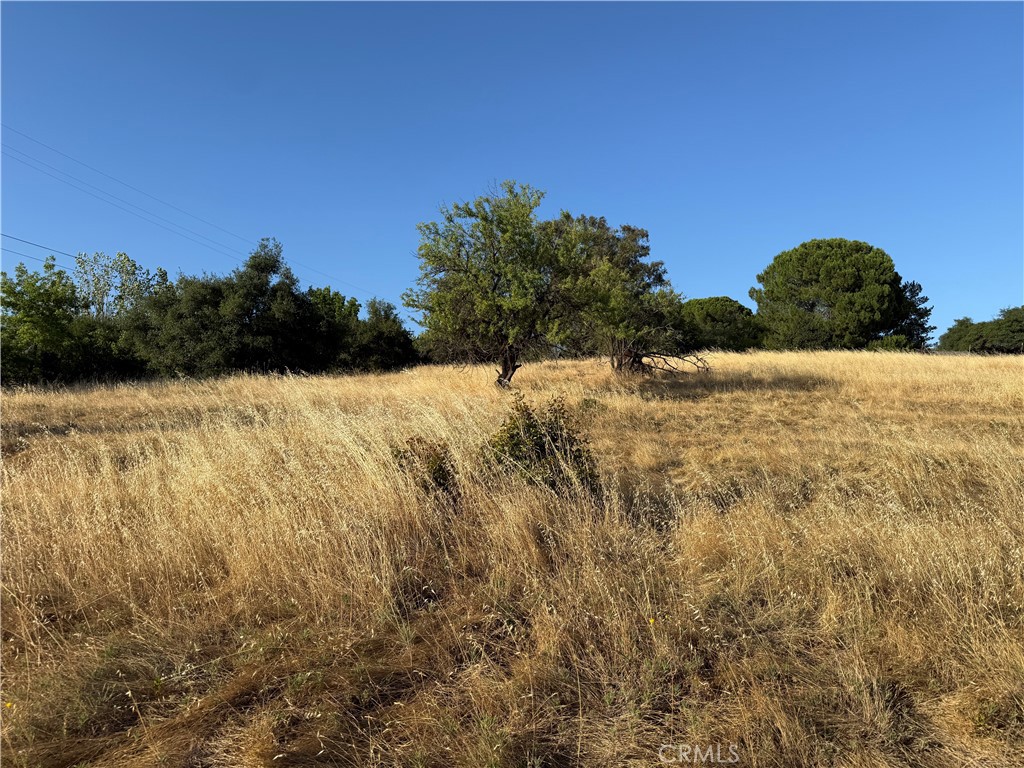 0 Skyline Boulevard Property Photo 5