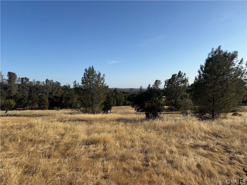 0 Skyline Boulevard Property Photo 6