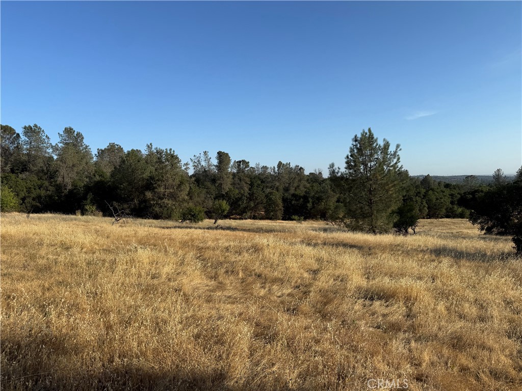 0 Skyline Boulevard Property Photo 7