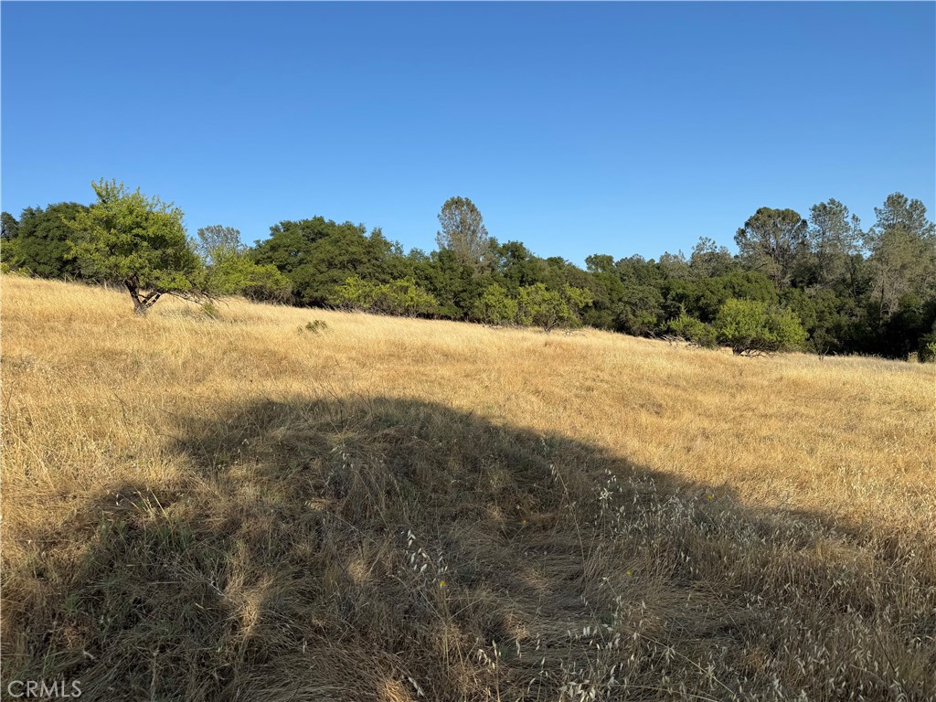 0 Skyline Boulevard Property Photo 8