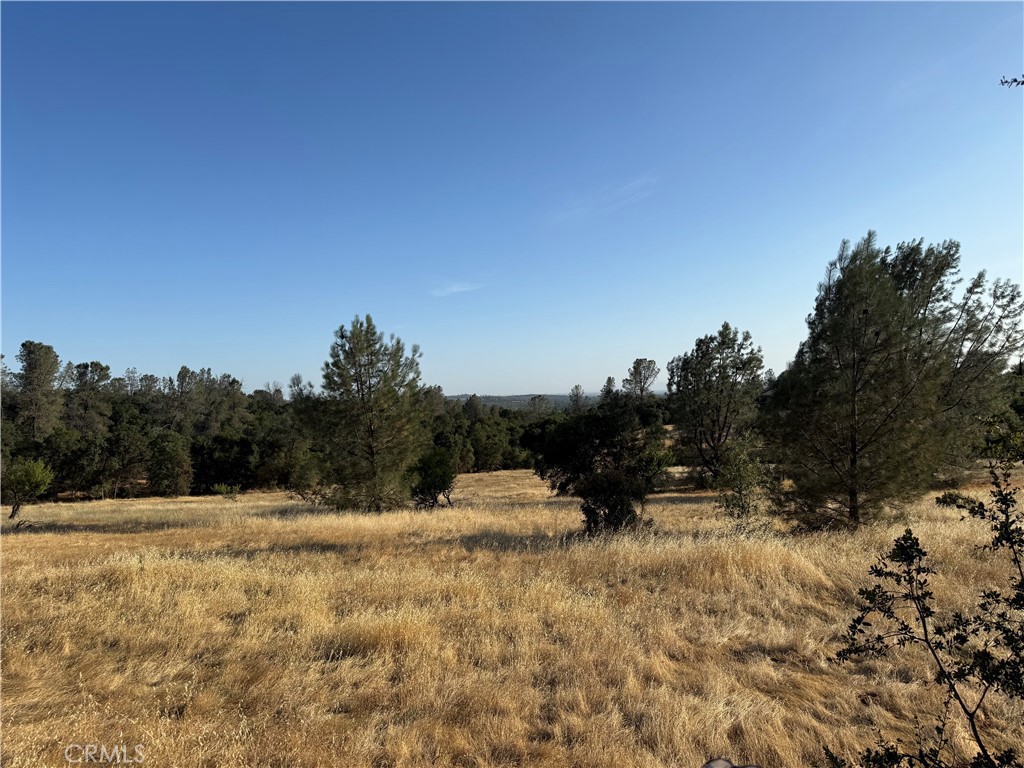 0 Skyline Boulevard Property Photo 9