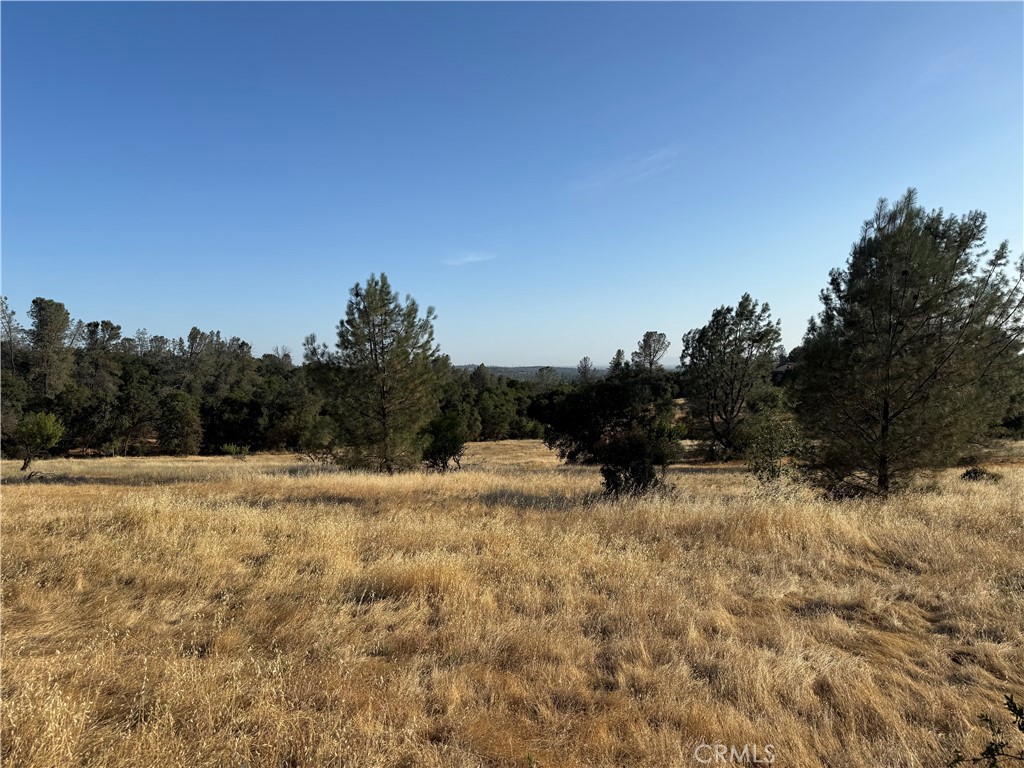 0 Skyline Boulevard Property Photo 1