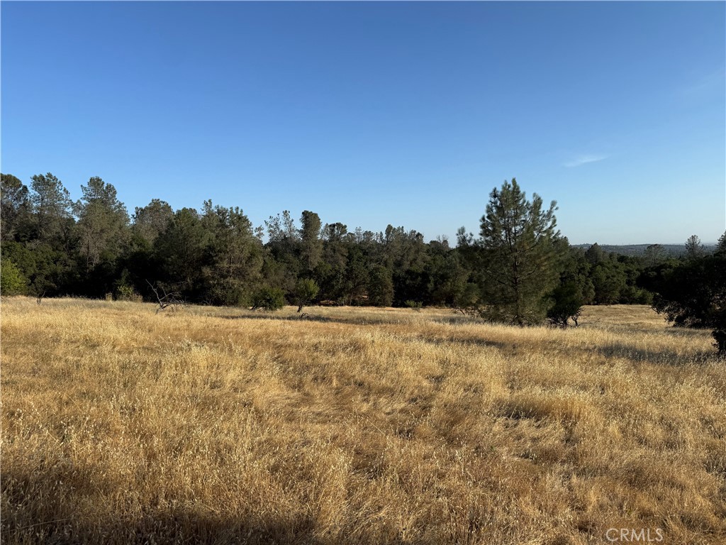 0 Skyline Boulevard Property Photo 2