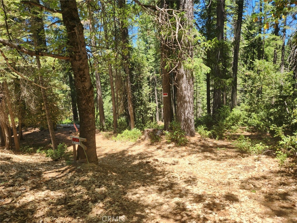 6296 Merry Way Property Photo 1