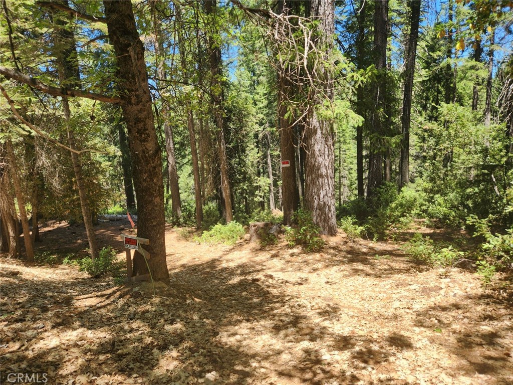6296 Merry Way Property Photo 1