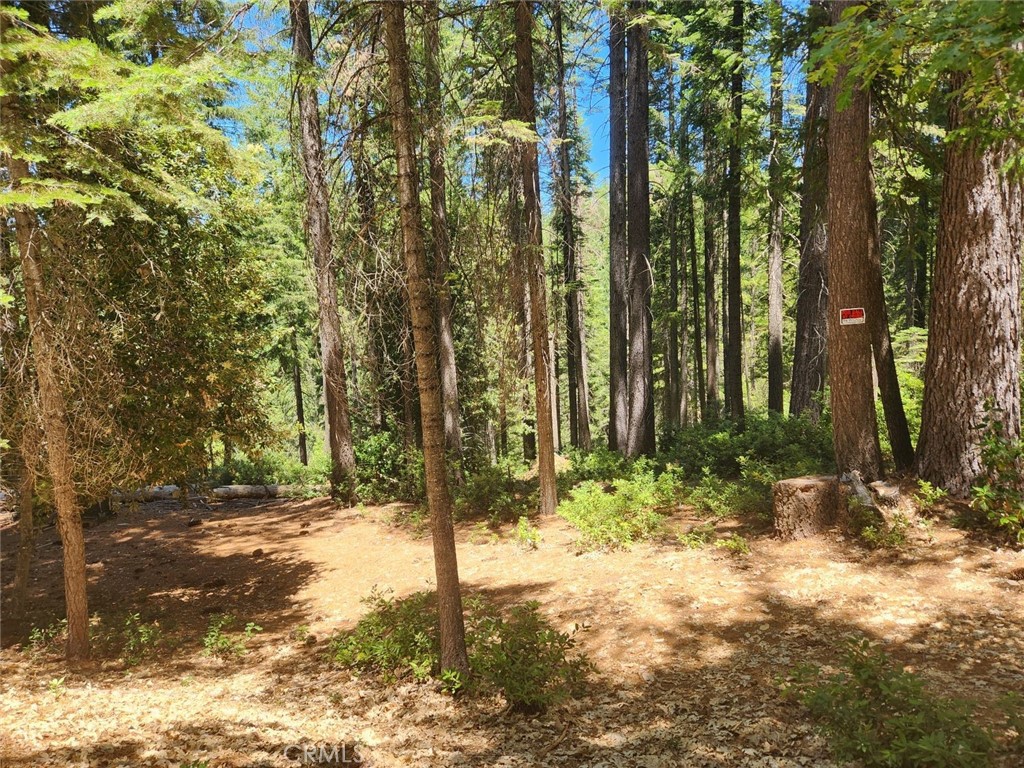 6296 Merry Way Property Photo 2