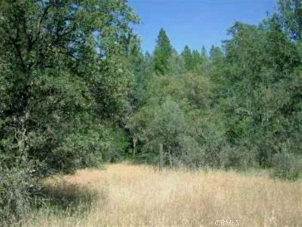 47 Texas Hill Road Property Photo 8