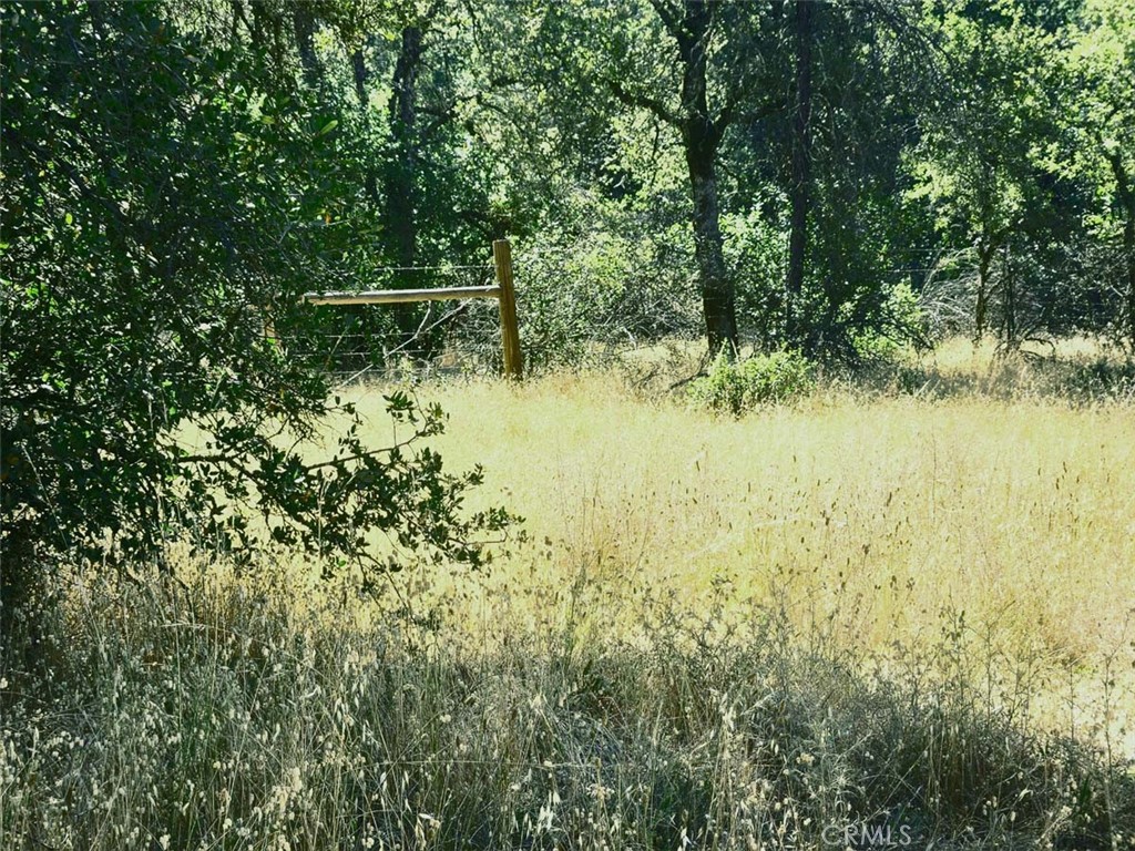 48 Rices Texas Hill Road Property Photo 1