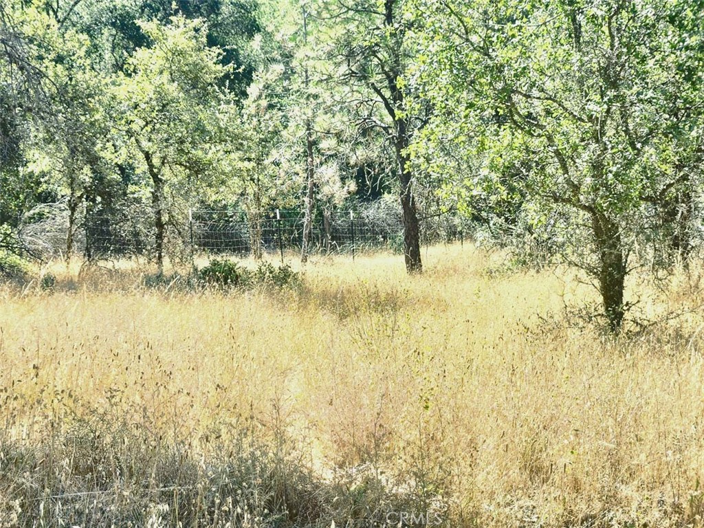 48 Rices Texas Hill Road Property Photo 3