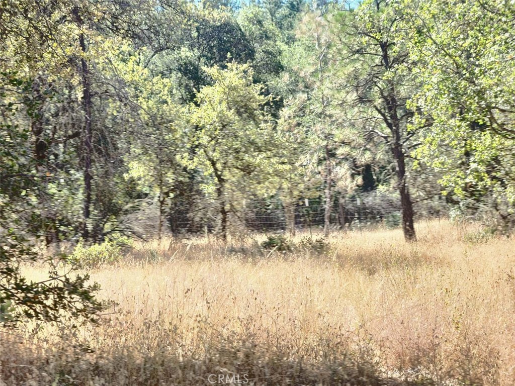 48 Rices Texas Hill Road Property Photo 4