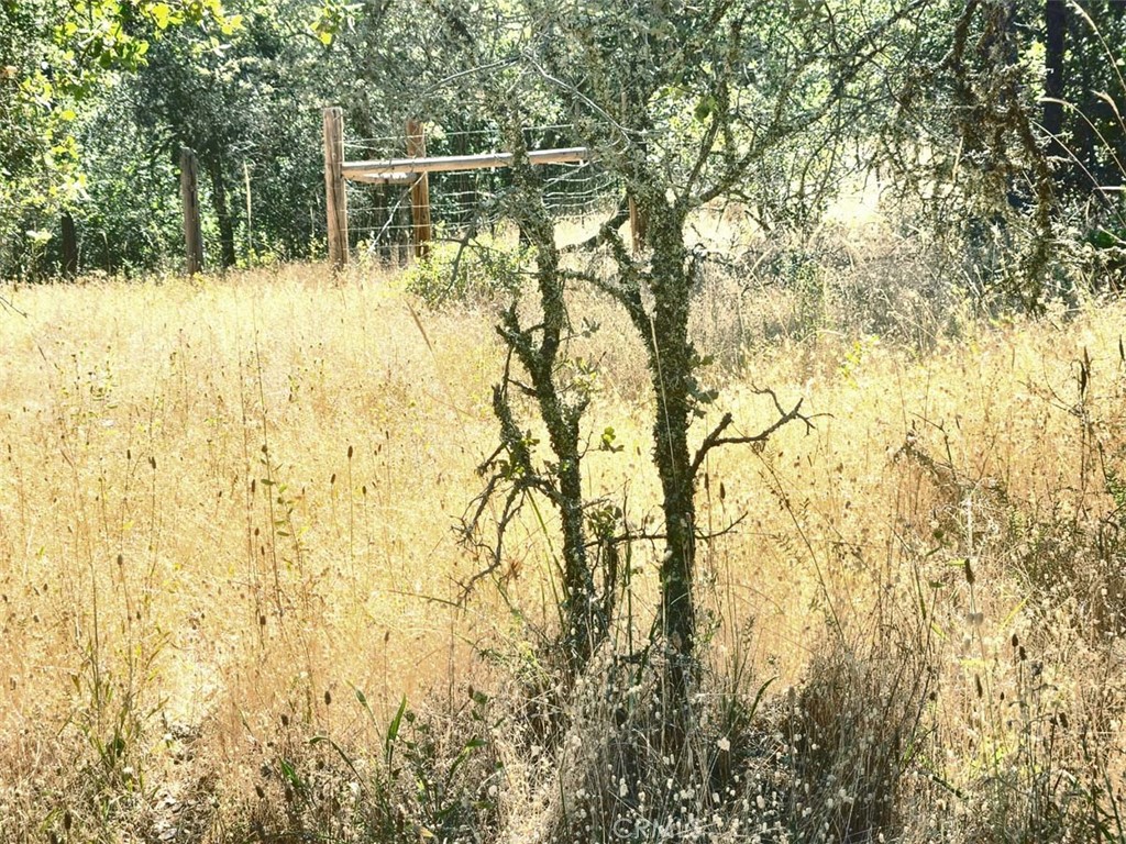 48 Rices Texas Hill Road Property Photo 6
