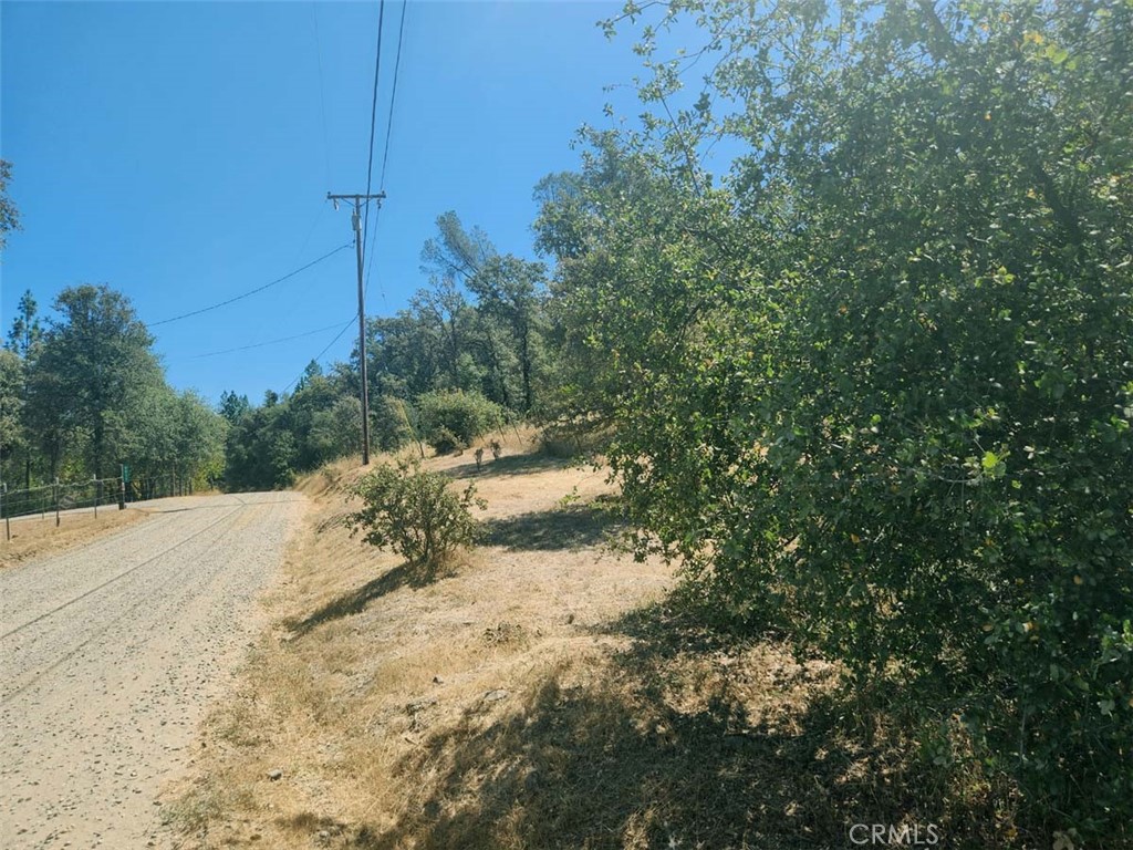 48 Rices Texas Hill Road Property Photo 7