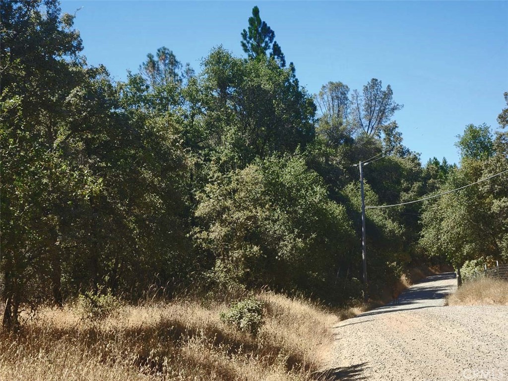 48 Rices Texas Hill Road Property Photo 8