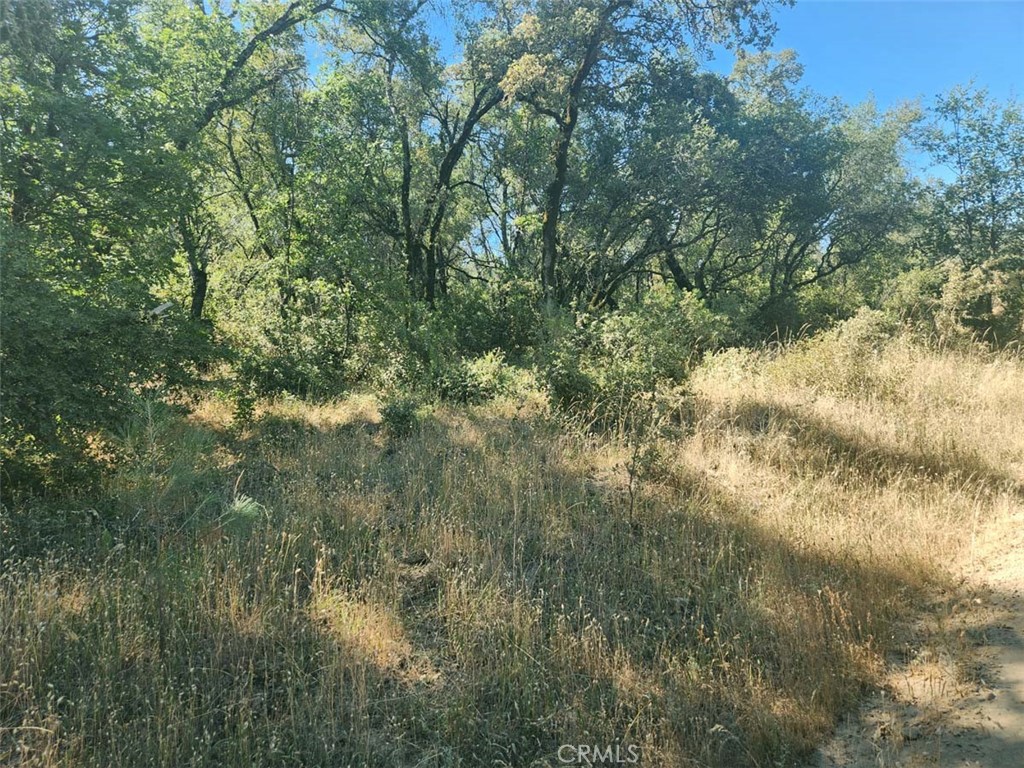 48 Rices Texas Hill Road Property Photo 10