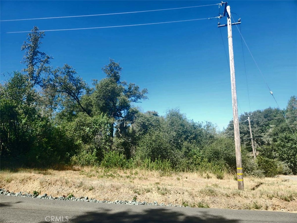 48 Rices Texas Hill Road Property Photo 12
