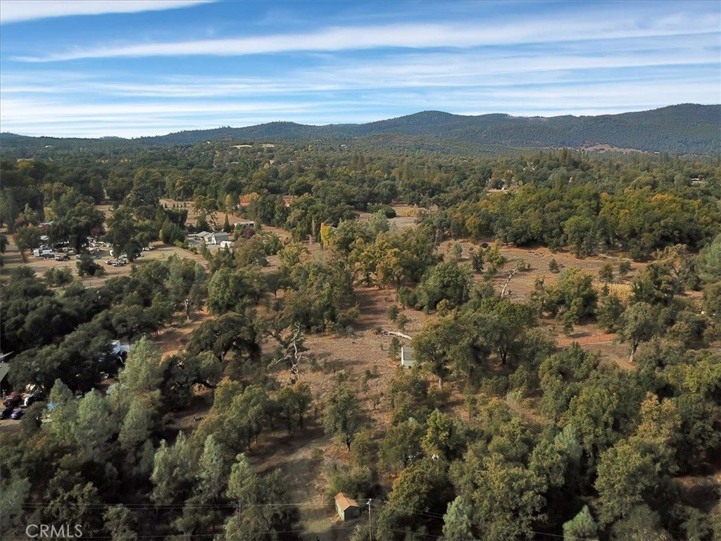 48 Rices Texas Hill Road Property Photo 19