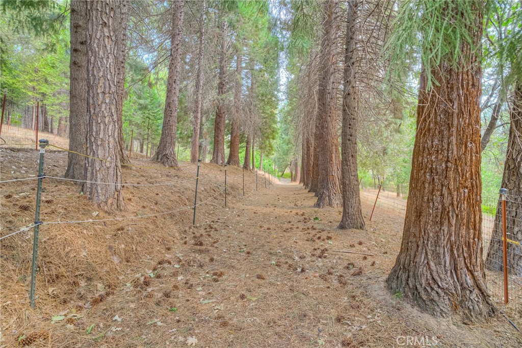 3635 Charqui Court Property Photo 46