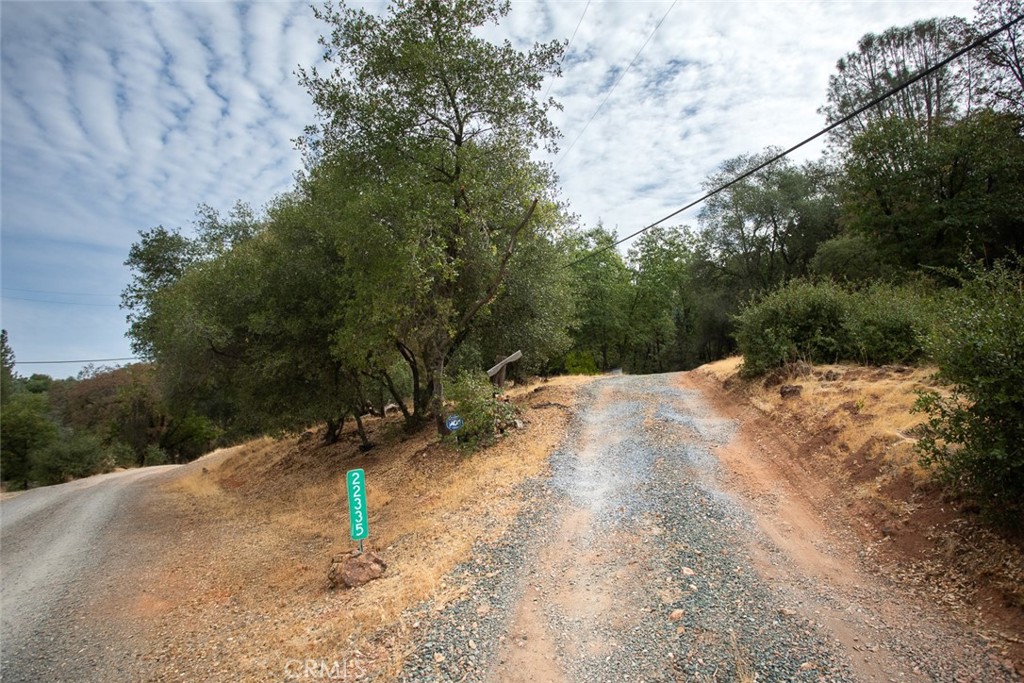 22335 Cheryl Court Property Photo 46