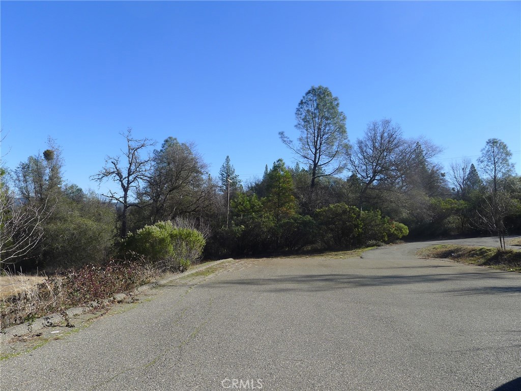 13376 Rue Montaigne Property Photo 39