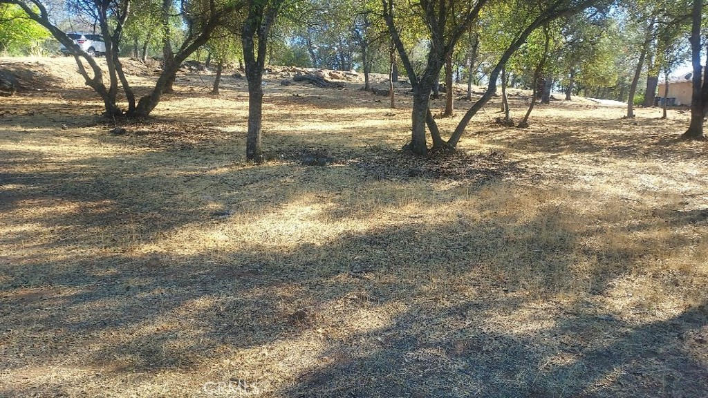 307 Lodgeview Drive Property Photo 1