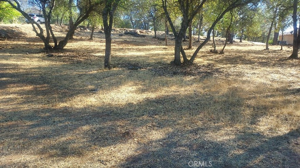 307 Lodgeview Drive Property Photo 1