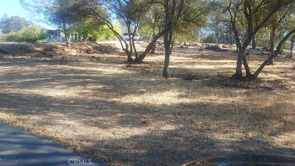 307 Lodgeview Drive Property Photo 3