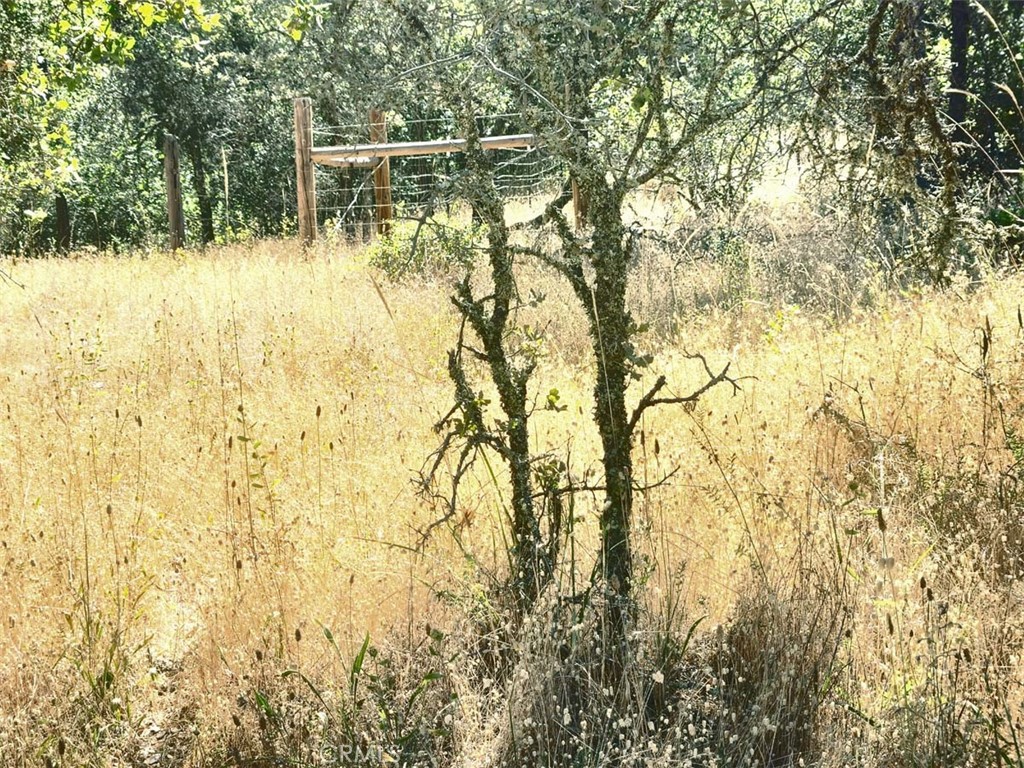 0 047-048 Texas Hill Road Property Photo 21