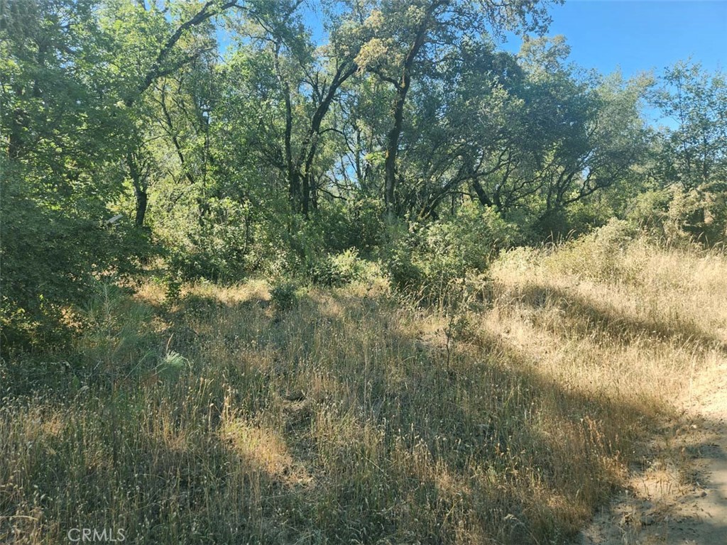 0 047-048 Texas Hill Road Property Photo 25