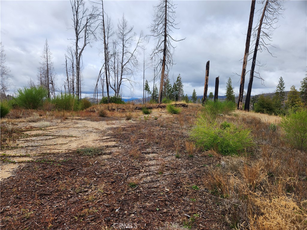 1103 Bald Rock Road Property Photo 2