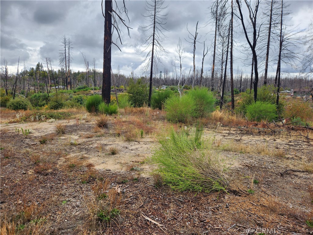 1103 Bald Rock Road Property Photo 3