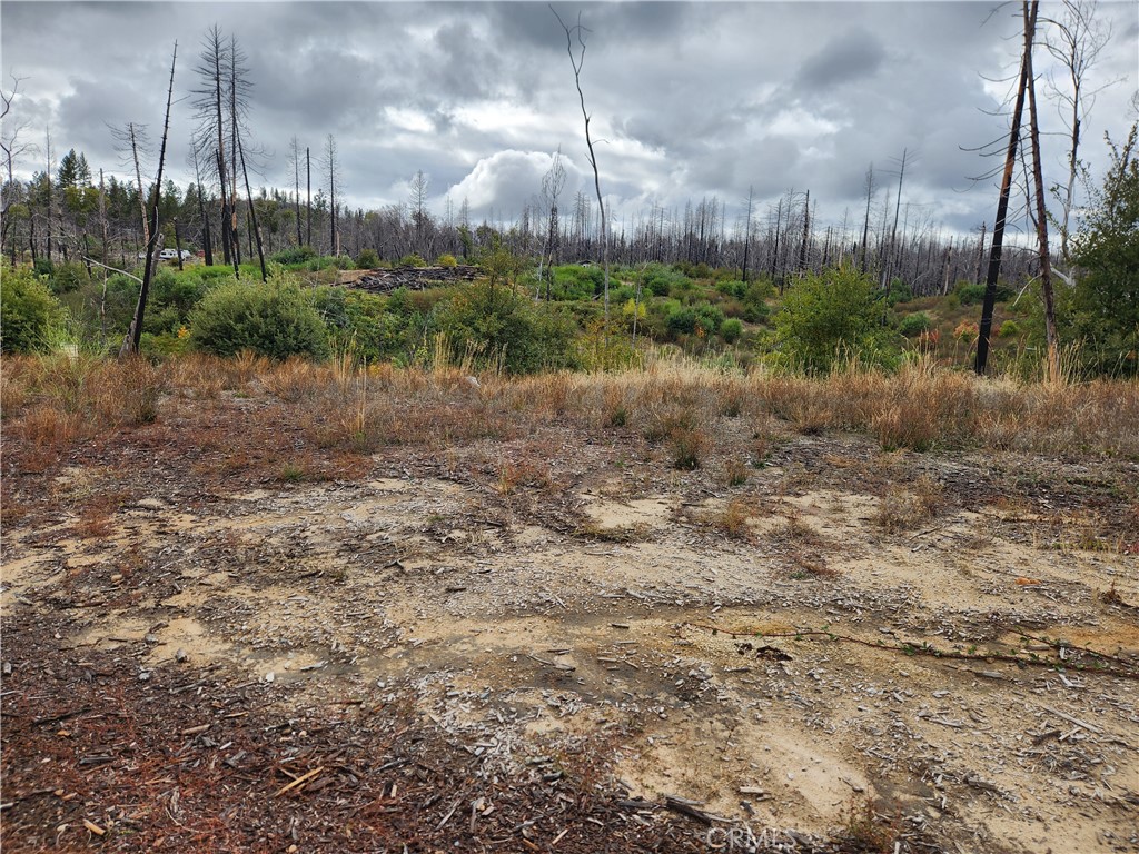 1103 Bald Rock Road Property Photo 5