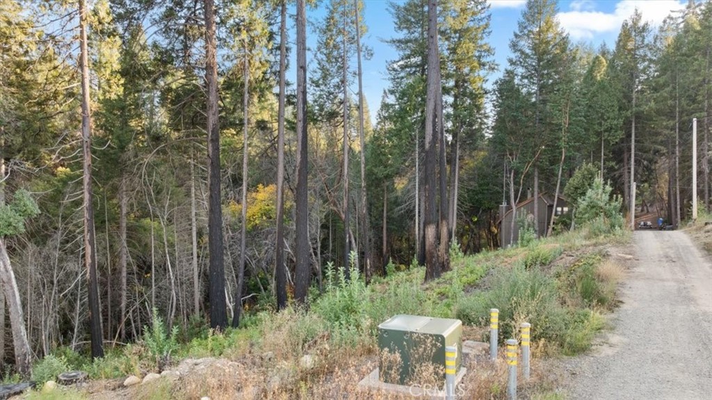 0 Path In The Woods Property Photo 1