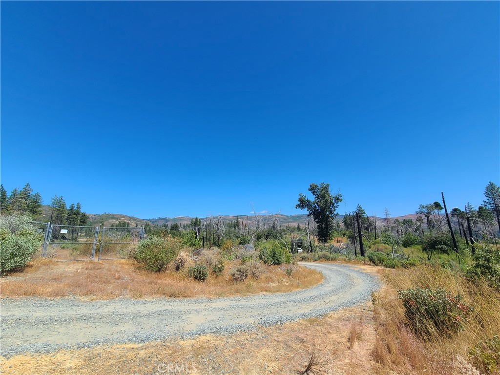 0 Hog Ranch Road Property Photo 3
