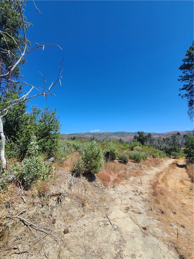 0 Hog Ranch Road Property Photo 4
